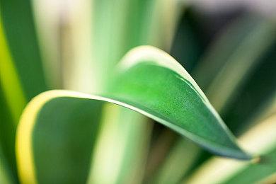 “iii计划”线上游戏展定档4月11日 多家顶尖独游工作室参与